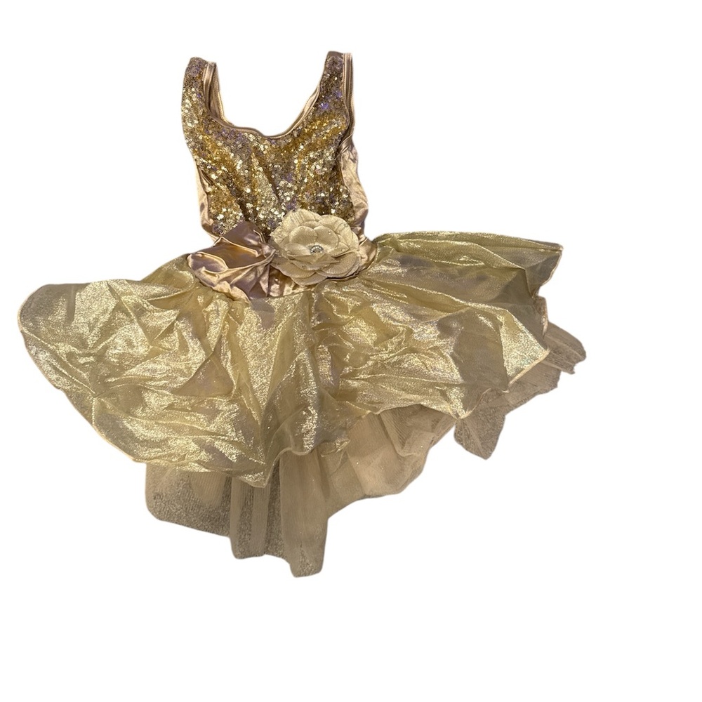Dance tutu